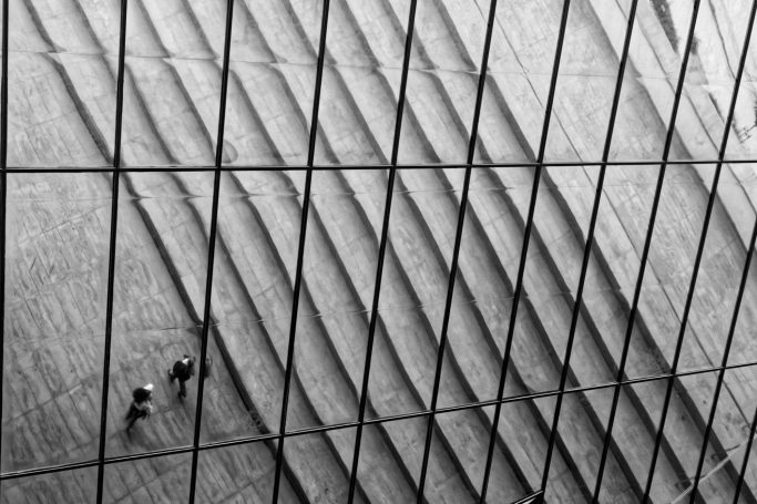 People Picture Paradox