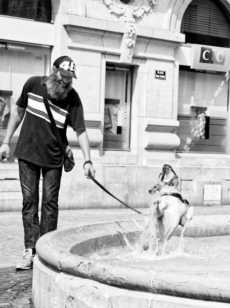 Dogs And Water I
